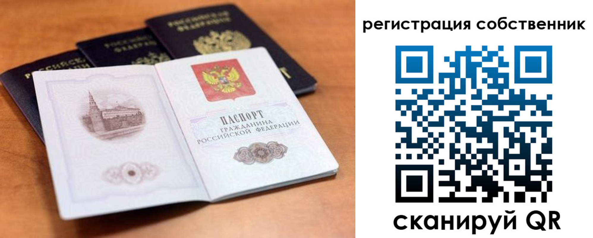 прописка поиск в Козловке